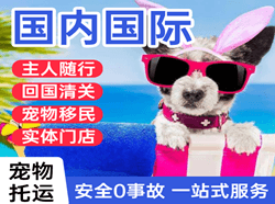 长水机场快运国际宠物托运 【国